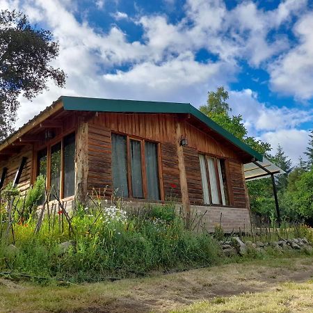 Cabana Camila El Bolsón Dış mekan fotoğraf